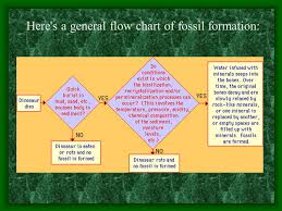 Fill In The Flowchart To Explain How Fossils Are Formed