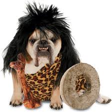 This investigation can be a real fun! Funny Animals Pics