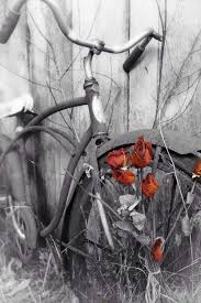 Black And White Bike Color Granny54 Color Splash Photo Color Splash Photography Black And White Pictures
