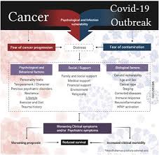 We know that normal breast cells become cancerous because of mutations in the dna, and although some of these are inherited, most dna changes related to. Frontiers The Sum Of Fears In Cancer Patients Inside The Context Of The Covid 19 Psychiatry