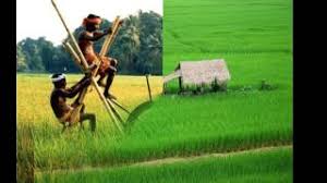 Nadan Pattu Youtube Kanneeril mungi njan kaikal neettunnu kj mappila pattukal mappila songs. nadan pattu