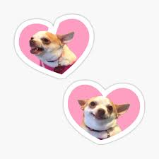 Angry Dog Stickers Redbubble When your friend makes you laugh when you're trying to be angry at them. redbubble