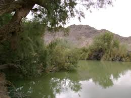 Mildly spiced soup made with peanut paste. Betty S Kitchen Az Hikearizona
