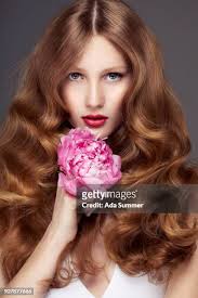 285 Ada Flores Stock Photos, High-Res Pictures, and Images