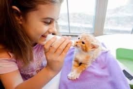 Why Save One When You Can Save 100?