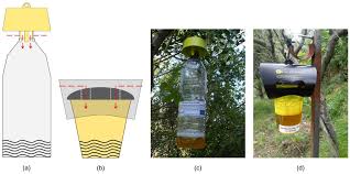 — phil helsel, nbc news, 7 july 2021 the auction house is a local institution in a huge barnlike building where everything from antiques to bear traps can be available. Insects Free Full Text Effectiveness And Selectiveness Of Traps And Baits For Catching The Invasive Hornet Vespa Velutina