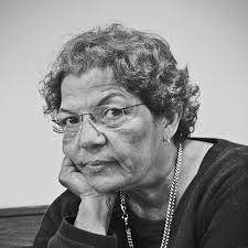 Comparative Social Evolution: Amazon.co.uk: Streets-Salter, Heather:  9781107647923: Books