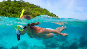 Skindiving Freediving Or Snorkeling What S The Differences Divein
