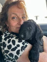 Profile for Dizzyki Kennels