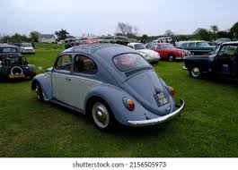 Image result for Dove Blue 1951 Beetle