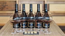 Solstice Tasting