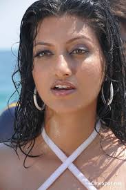 Hamsa Nandini Hot Spicy (12) HD phone wallpaper | Pxfuel