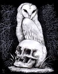 Lechuza By Eros Aristoteles Art On Deviantart Drawing them feels so soothing.pic.twitter.com/t726xhoi90. lechuza by eros aristoteles art on
