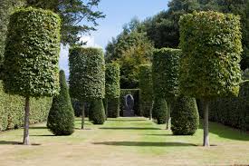 Tree Trimming Specialists-ECO Tree Experts