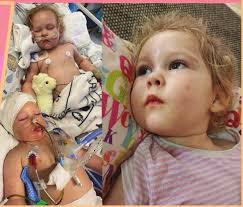 New Food Lover's market another giant in the making