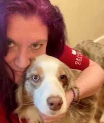 Experienced Veterinarians