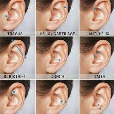 Piercing Ideas In 2019 Piercings Ear Piercings Cool In 2021 Cool Ear Piercings Ear Piercings Daith Piercing