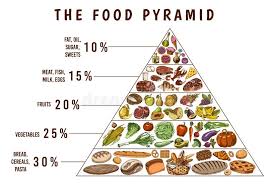 healthy food plan pyramid infographics for balanced diet