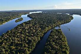 Clientes da amazon brasil podem encontrar mais de 50 mil itens de mobília e eletrodomésticos de linha branca, incluindo produtos como refrigeradores, máquinas de lavar, sofás, mesas. Goal Exceeded In Arpa More Than 60 Million Hectares Of The Amazon Protected Wwf Brasil