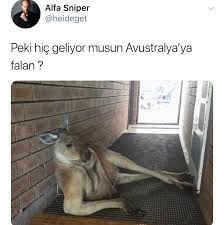 Komik Seyler Komik Goruntuler Komik