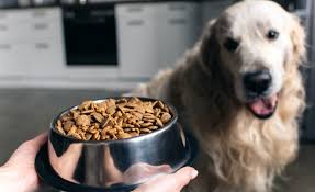 Discount automatically applied in cart. 9 Most Expensive Dog Foods Worth The Extra Dollars 2021 Reviews