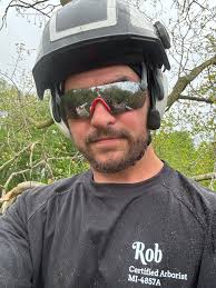 Climbing arborist services in Clearwater, FL