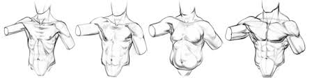 The throat sits in front of the spine, making up for half the width of. How To Draw Pecs Anatomy Proko