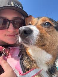 Echo's found her beach excitement and it's only her second visit, Gibb's  has always loved beach day fun. Gibbs and Echo ❤️