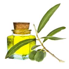 Olive Oil And Gerd