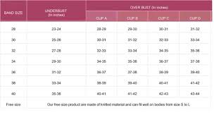 17 Extraordinary Bra And Cup Size Chart