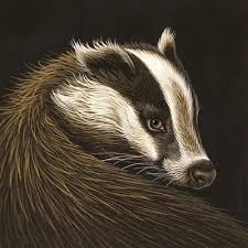 Pin By Melody Lorraine On Badgers Badger Illustration Animal Paintings Badger Tattoo