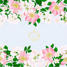 Check spelling or type a new query. Floral Border Seamless Vertical Background Eglantine Twigs With Leaves And Flower Of Wild Rose Vintage Vector Illustration For Use In Interior Design Artwork Dishes Clothing Packaging Greeting Cards Royalty Free Cliparts Vectors