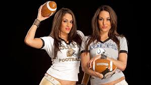 The bella twins' greatest moments: Hd Wallpaper Sports The Bella Twins Brie Bella Brown Eyes Brunette Nikki Bella Wallpaper Flare