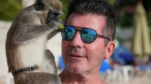 Rich List 2020: profiles 304-399=, featuring Simon Cowell and Sir Elton John