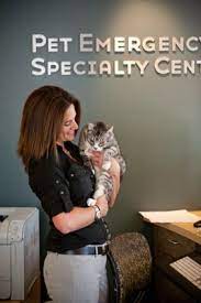 Pet emergency & specialty center. Pet Emergency Specialty Center East County 145 Photos 540 Reviews Veterinarians 5232 Jackson Dr La Mesa Ca Phone Number