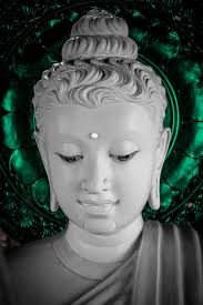 Vincent Bourke Photography