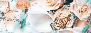 The new and colorful butterfly cover photos for facebook can make love for nature. Beautiful Butterfly Flowers Facebook Cover Background Facebook Cover Facebook Cover Images Beautiful Facebook Cover Photos