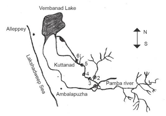 Map of Pamapa River showing sampling locations | Download Scientific Diagram