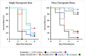 Bacteriophage endolysin treatment for systemic infection of Streptococcus  iniae in hybrid striped bass