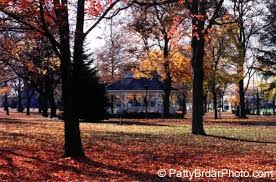 The Gazebo In Beaver Park Autumn Time How I Miss Pa At Times Like This Wonders Of The World Beautiful Places Beaver County