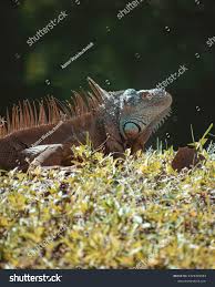 Photo & Image Portfolio by Aaron Waldschmidt