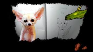 How to draw a fennec fox step by step. Dragonate Draws A Fennec Fox Fennec Fox Drawing Dragonate Draws From Instructions W Rocky Youtube
