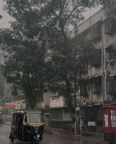 Ahmedabad's monsoon season 🌧️! #ahemdabadrain #rain #amd #amdavad  #baarishinahmedabad