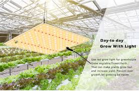 Maybe you would like to learn more about one of these? Led Grow Light 800w Samsung Lm281b Diodes Quiet Fanless Full Spectrum Grow Light High Ppfd For 5x5ft Coverage Veg And Blooming Growing Lamps Aliexpress