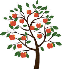 We did not find results for: Download Vector Euclidean Fruit Tree Apple Free Hq Image Hq Png Image Freepngimg