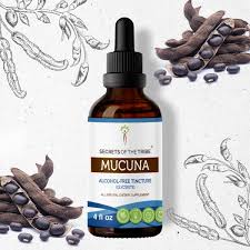 Image result for Mucuna pruriens