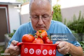 721 Kate Gardiner Stock Photos, High-Res Pictures, and Images