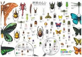 And the type of pest largely depends on where you find it. Bug Animal Crossing Wiki Fandom