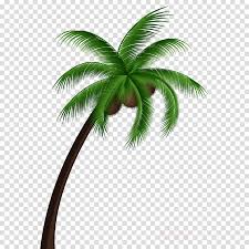 Use it in your personal projects or share it as a cool sticker on whatsapp, tik tok, instagram, facebook messenger, wechat, twitter or in other messaging apps. Coconut Tree Cartoon Clipart Coconut Plant Tree Transparent Clip Art