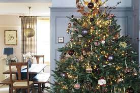 My Top Tips For Buying A Real Christmas Tree The Frustrated Gardener Real Christmas Tree Christmas Tree Tree
